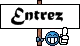 entrez